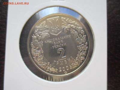 Кузнечик 2 гривны 2006 - IMG_0068.JPG