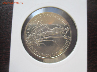 Кузнечик 2 гривны 2006 - IMG_0071.JPG