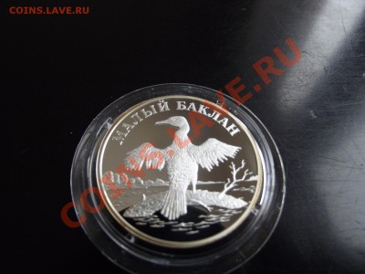 1 рубль 2003 Малый Баклан серебро - DSCF3083.JPG