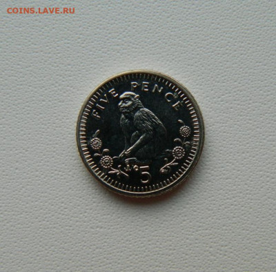 Гибралтар 5 пенсов 2003 г. (Фауна) С рубля! до 15.12.25 - DSCN9707.JPG