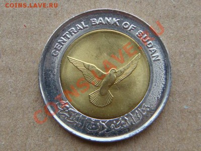 -vБ- Судан 50 пиастр 2006 бимет. птица до 1.03(21.00) - DSC06498.JPG