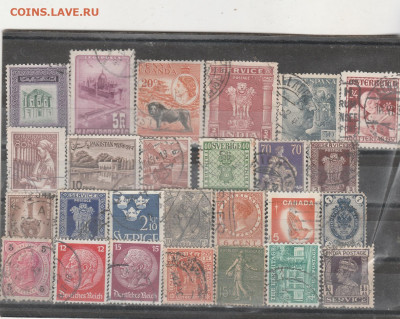 Старый Мир 34 до 14.12. в 22.00 - IMG_20251211_0034