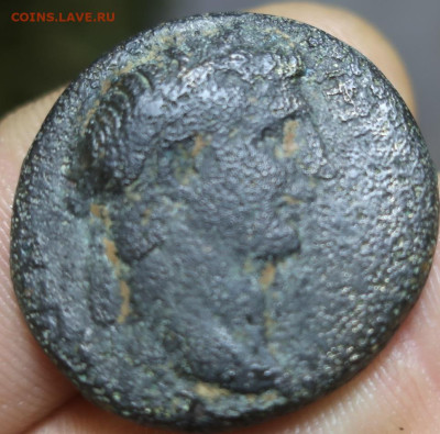 Император, похожий на Лиама Нисона - 1