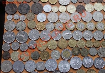 Продам 200 монет мира с повторами - IMG_0571