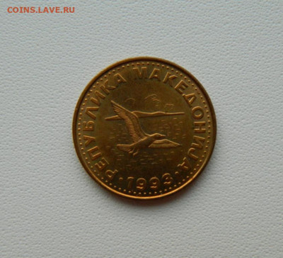 Македония 50 дени 1993 г. (Фауна) С рубля! до 17.12.25 - DSCN9721.JPG