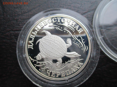 1р 2003 Черепаха - IMG_0067.JPG