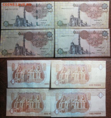 Египет 1 фунт 4 варианта до 18.12 в 22-30 мск - IMG_9666.JPG