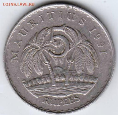 25 г в 23.00 - 024