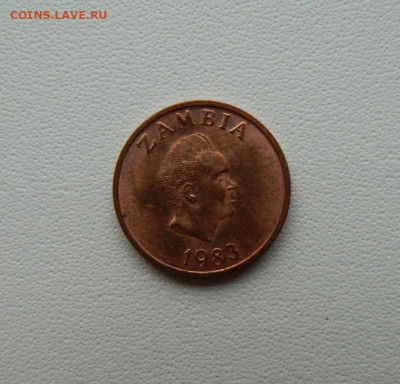 Замбия 1 нгве 1983 г. (Фауна) С рубля! до 17.12.25 - DSCN9844.JPG