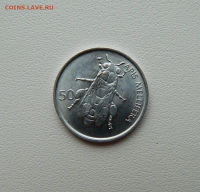 Словения 50 стотинов 1995 г. (Фауна) С рубля! до 17.12.25 - DSCN9843.JPG