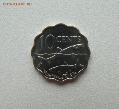 Багамские острова 10 центов 2010 г. (Фауна)С рубля! до 17.12 - DSCN9830.JPG