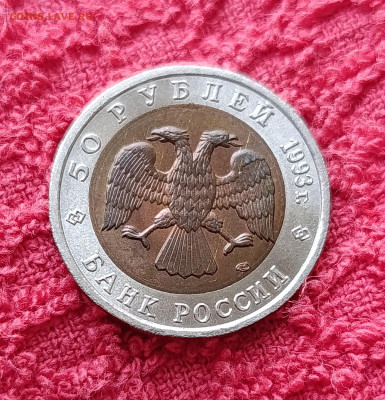 Кр. Книга. 50р.Тетерев.До 17.12.22:00 - IMG_20251214_135408