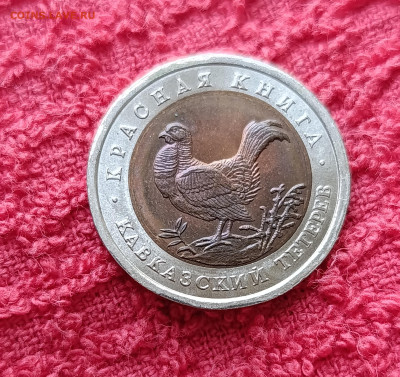 Кр. Книга. 50р.Тетерев.До 17.12.22:00 - IMG_20251214_135354