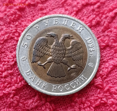 Кр. Книга. 50р.Медведь.До 17.12.22:00 - IMG_20251214_135443