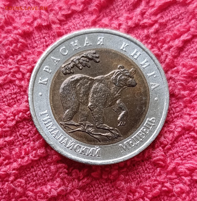 Кр. Книга. 50р.Медведь.До 17.12.22:00 - IMG_20251214_135429