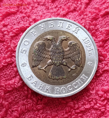 Кр. Книга. 50р.Фламинго.До 17.12.22:00 - IMG_20251214_135717