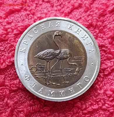 Кр. Книга. 50р.Фламинго.До 17.12.22:00 - IMG_20251214_135704