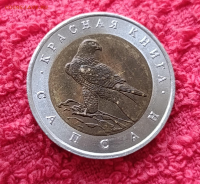 Кр. Книга. 50р.Сапсан.До 17.12.22:00 - IMG_20251214_135739