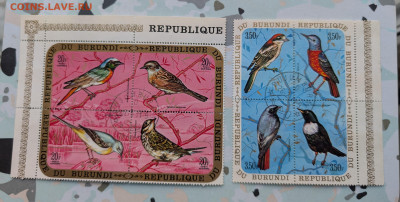 Бурунди 1970 птицы блоки 8 штук до 22-00 16.12 - PXL_20251214_064023031~2