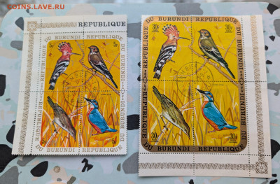 Бурунди 1970 птицы блоки 8 штук до 22-00 16.12 - PXL_20251214_064004112~2