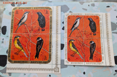 Бурунди 1970 птицы блоки 8 штук до 22-00 16.12 - PXL_20251214_063953052~2
