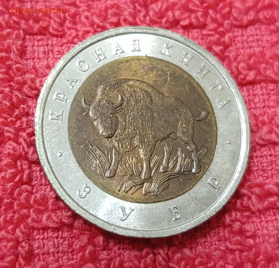 Кр. Книга. 50р.Зубр.До 17.12.22:00 - IMG_20251214_180840