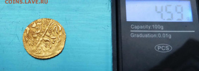 Опознание и оценка - P1580348.JPG