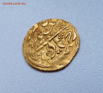 Опознание и оценка - P1580346.JPG