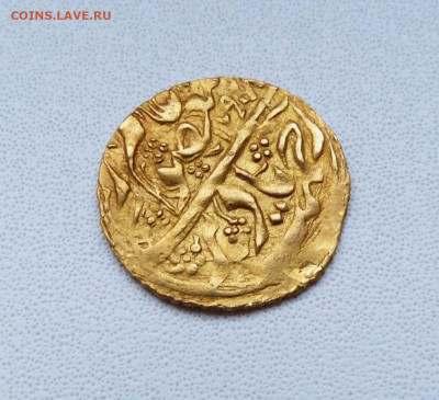 Опознание и оценка - P1580345.JPG