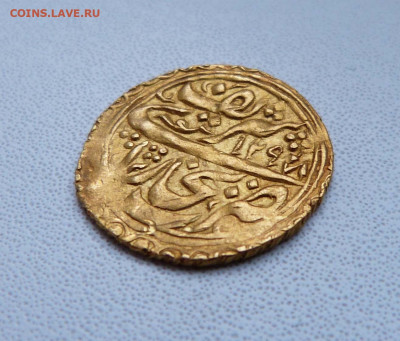 Опознание и оценка - P1580344.JPG