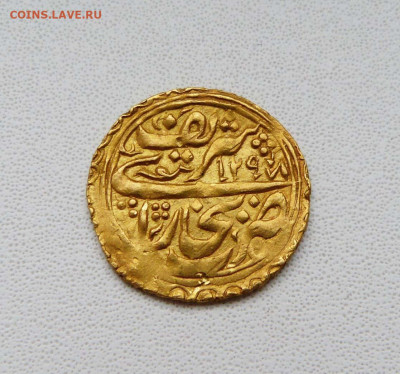 Опознание и оценка - P1580343.JPG