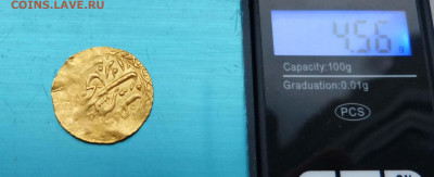 Опознание и оценка - P1580353.JPG