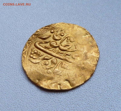 Опознание и оценка - P1580350.JPG