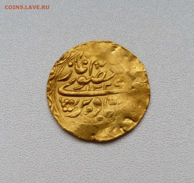 Опознание и оценка - P1580349.JPG