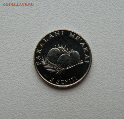 Острова Тонга 5 сенити 2005 г. (Фауна) С рубля! до 22.12.25 - DSCN9999.JPG