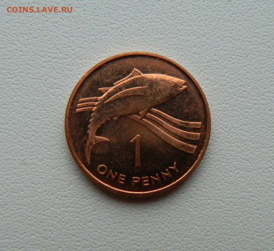 О. св. Елены и Вознесения 1 пенни 1997г.(Фауна)С рубля!до 22 - DSCN9998.JPG