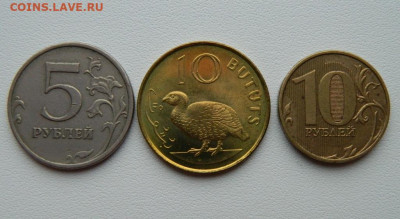 Гамбия 10 бутут 1998 г. (Фауна) С рубля! до 22.12.25 - DSCN0005.JPG