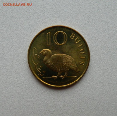 Гамбия 10 бутут 1998 г. (Фауна) С рубля! до 22.12.25 - DSCN0006.JPG