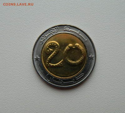 Алжир 20 динар 2018 г. (Фауна) БИМ С рубля!  до 22.12.25 - DSCN9983.JPG