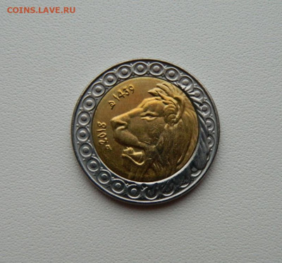 Алжир 20 динар 2018 г. (Фауна) БИМ С рубля!  до 22.12.25 - DSCN9982.JPG