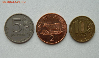 Остров Гернси 2 пенса 1999 г. (Фауна) С рубля! до 22.12.25 - DSCN9879.JPG