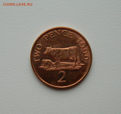 Остров Гернси 2 пенса 1999 г. (Фауна) С рубля! до 22.12.25 - DSCN9880.JPG