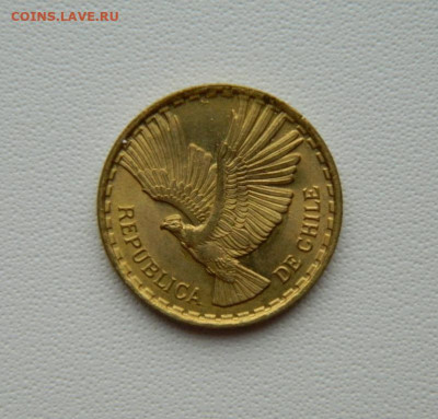 Чили 2 сентесимо 1969 г.(Кондор) С рубля!  до 22.12.25 - DSCN9868.JPG