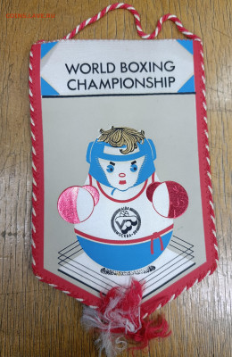 Вымпелы Юн Чемпионат Мира по Боксу с автографами. - IMG_20251217_145201