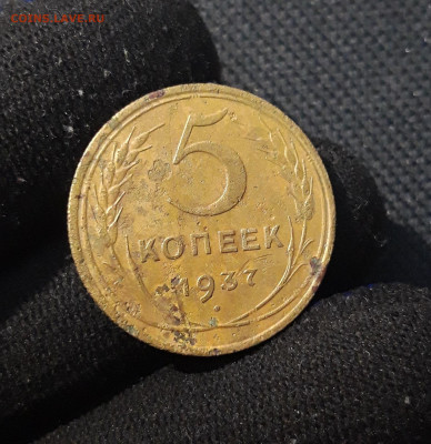 5 копеек 1938 5 копеек 1937 3 копейки 1951 года До 23.12 - 20250902_212641