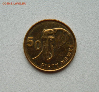 Замбия 50 нгве 2012 г. (Фауна) С рубля! до 23.12.25 - DSCN9865.JPG