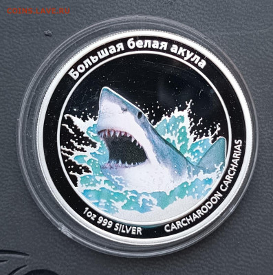 Тувалу 1 доллар. Большая белая акула, до 23.12. - 1766073796625