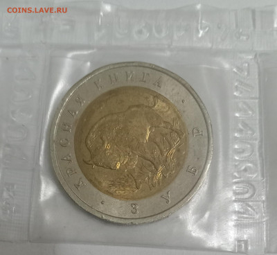 Красная Книга 1994 год 5 монет ЗАПЙКА!!! 22.12.25. 22:00 МСК - IMG_20251218_220725_edit_1175536361173374