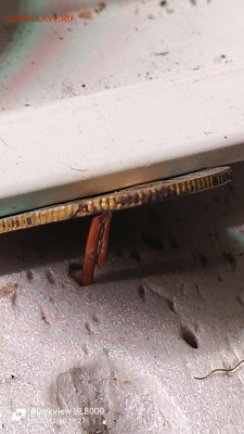 Помощь в определении.  20 копеек 1931г. - IMG_20251210_192708_669