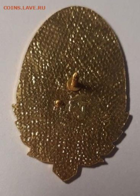 Значок 65 лет Тушинскому машиностроительному заводу - IMG_9372